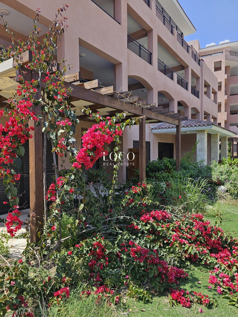 Inwestycja Kato Paphos, Paphos Municipality, Pafos, Cypr, Pafos, Cypr